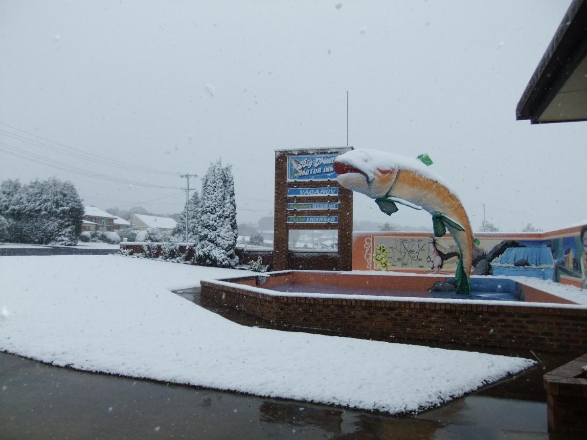 Big Trout Motel Oberon Exterior photo